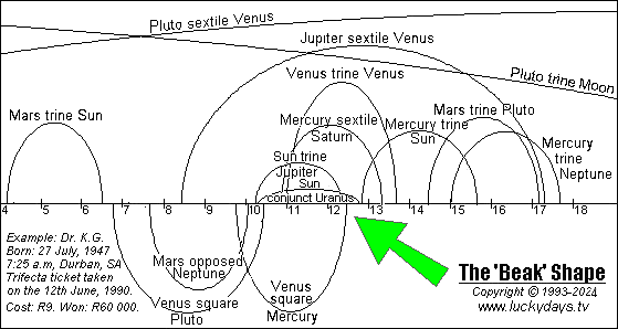 Graphical representation of the beak shape